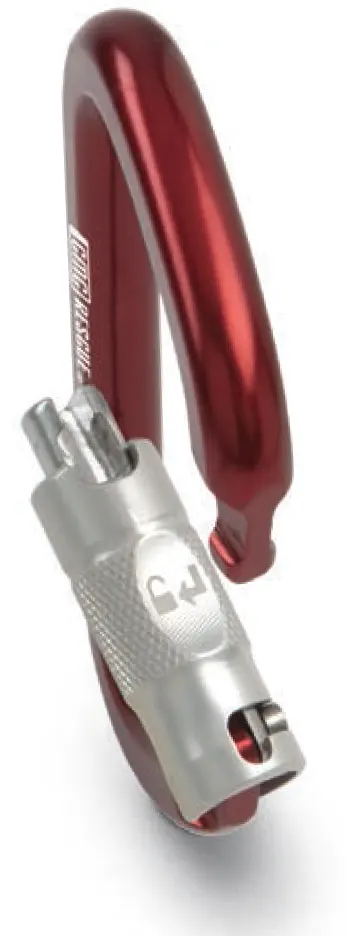 Mosquetón ProSeries